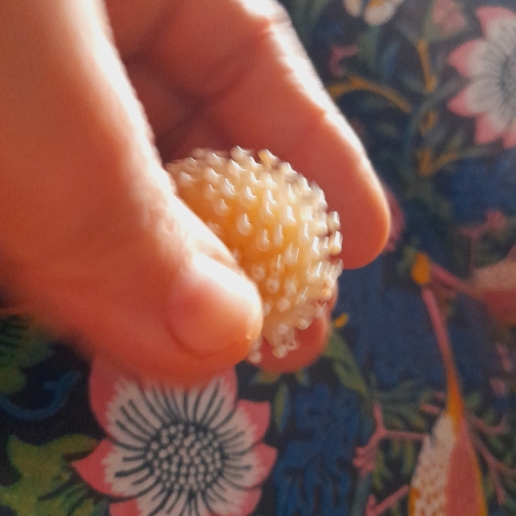 Mother Of Pearl Tone Cream Starburst Cluster Stretchy Ring - Picture 15 of 16